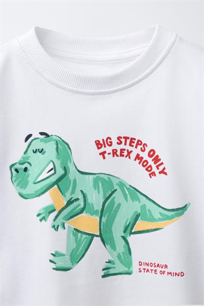 Erkek Çocuk Pamuklu Beyaz Baskılı T-Shirt ve Yeşil Çizgili Pantolon Takım