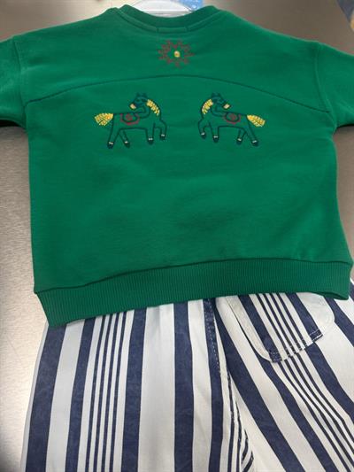 Unisex Çocuk Yeşil At Nakışlı Oversize Sweatshirt ve Çizgili Pantolon Takım