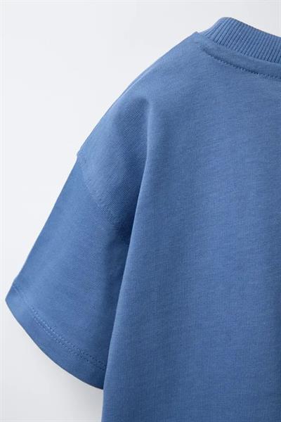Erkek Çocuk Pamuklu Mavi Maymun Baskılı T-Shirt ve Çizgili Eşofman Takım