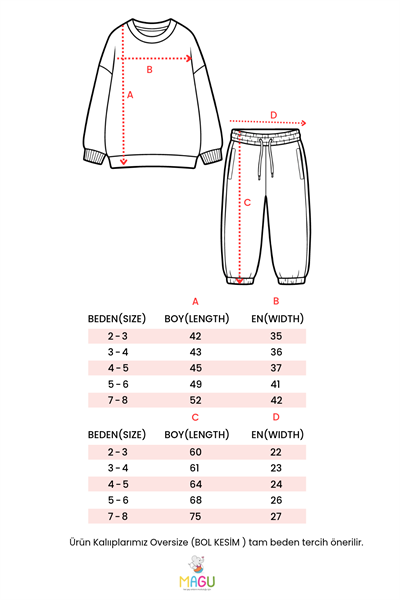 Erkek Çocuk Pamuklu Aslan Baskılı Antrasit Sweatshirt ve Eşofman Takımı