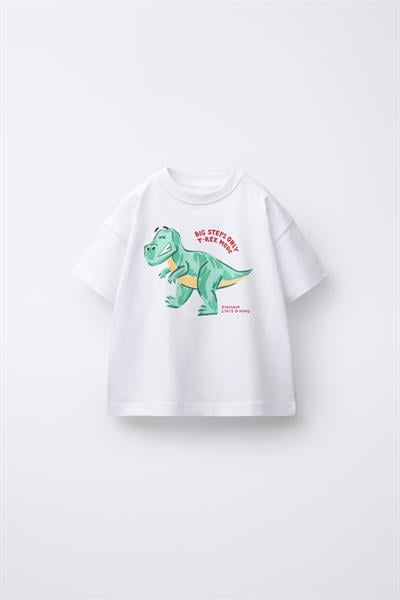 Erkek Çocuk Pamuklu Beyaz Baskılı T-Shirt ve Yeşil Çizgili Pantolon Takım
