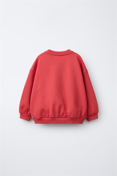 Çocuk Nakış Detaylı Bisiklet Yaka Sweatshirt