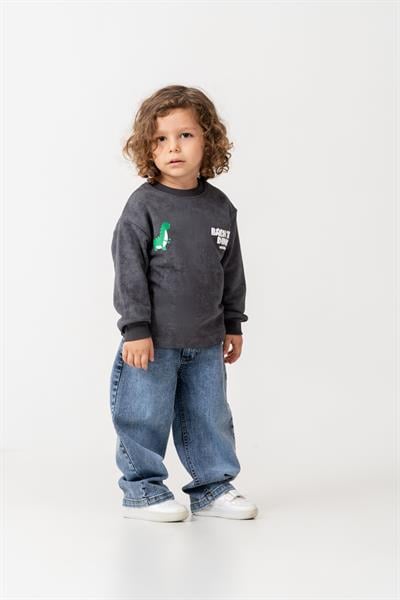 Erkek Çocuk Pamuklu Füme Dinozor Baskılı Sweatshirt ve Mavi Jean Pantolon Takım - Günlük Rahat Stil