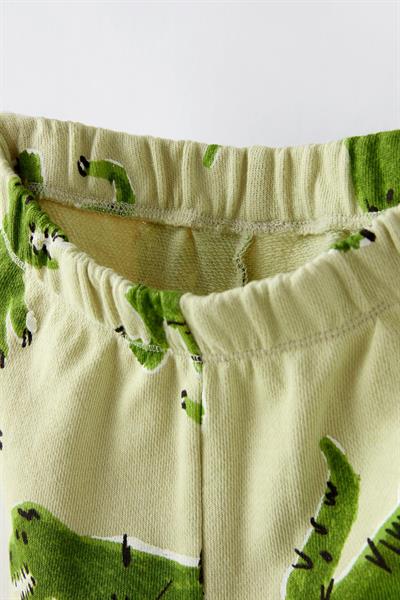 Erkek Çocuk Pamuklu Açık Yeşil Dinozor Desenli Yazlık Şortlu T-shirt Takım