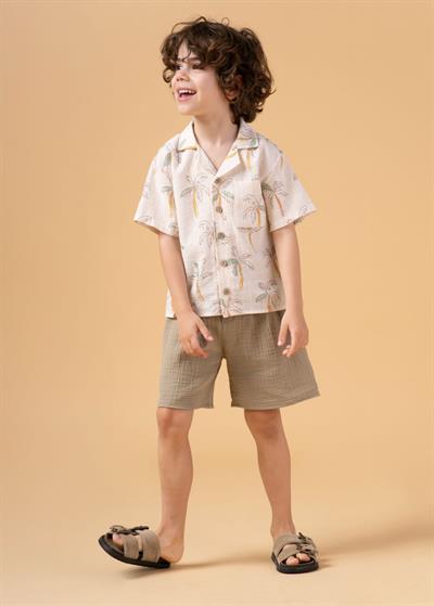 Erkek Çocuk Palmiye Desenli Gömlekli Takım Şortlu Yazlık İkili Set