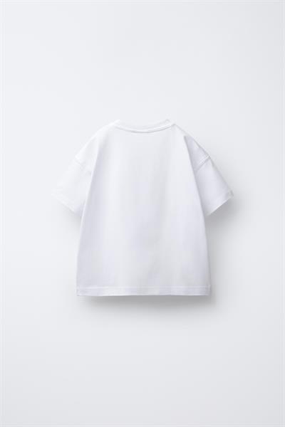 Erkek Çocuk Pamuklu Beyaz Baskılı T-Shirt ve Yeşil Çizgili Pantolon Takım