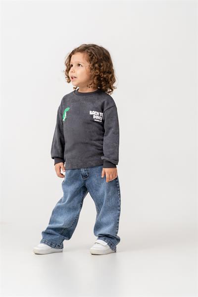 Erkek Çocuk Pamuklu Füme Dinozor Baskılı Sweatshirt ve Mavi Jean Pantolon Takım - Günlük Rahat Stil