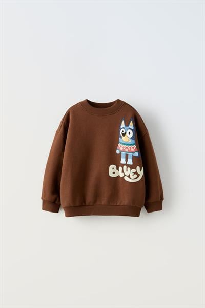 Erkek Çocuk Pamuklu Kahverengi Bluey Sweatshirt ve Eşofman Alt Takım