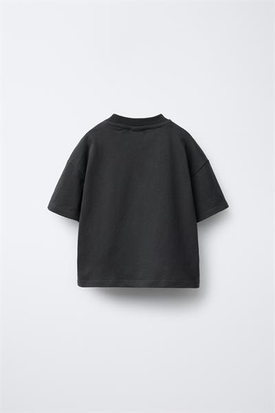 Erkek Çocuk Pamuklu Antrasit Aslan Baskılı T-Shirt ve Çizgili Eşofman Takım