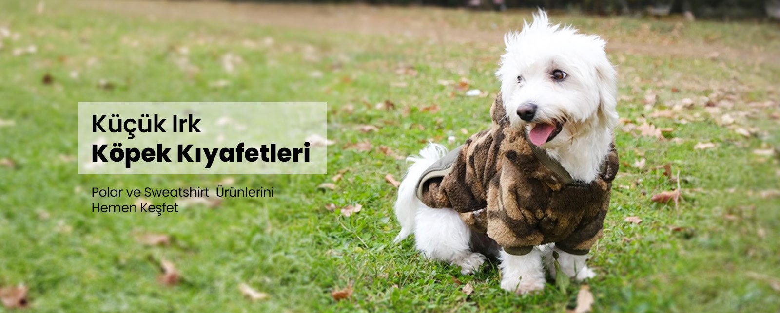 Köpek Kıyafeti