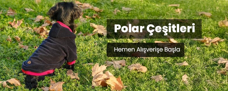 Köpek Poları