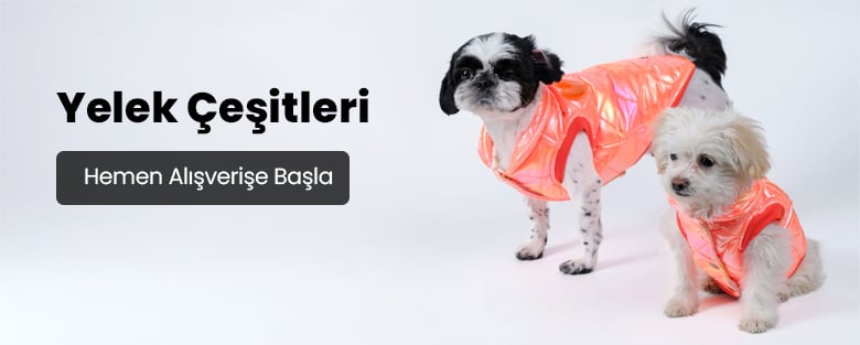 Köpek Yelekleri