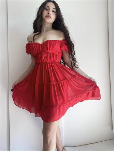 Ariel Romantik Kırmızı Şifon Elbise