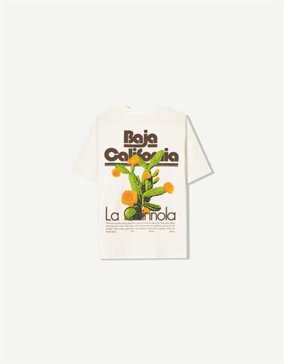 Baja California Orj. T shirt