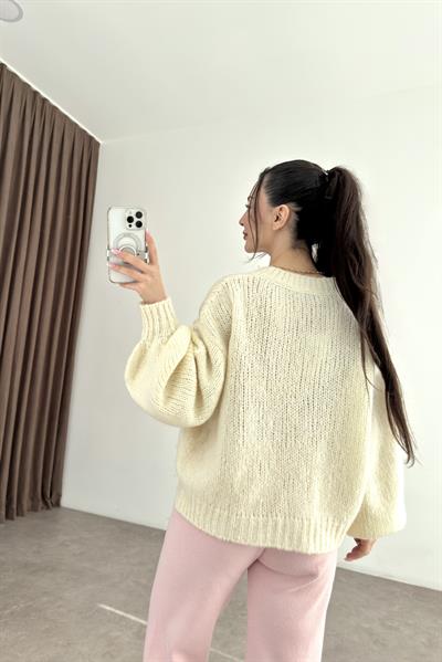 Dilvin V Yaka Çilek Nakışlı Balon Kol Hırka