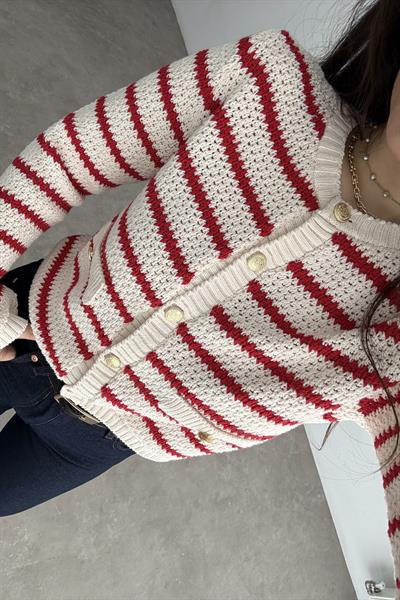 Strdvrs Gold Düğmeli Kırmızı Çizgili Hırka