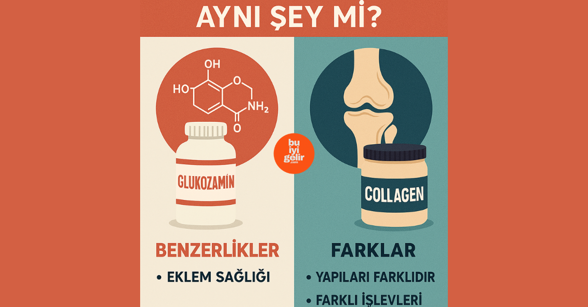 Glukozamin ve Kolajen Aynı Şey mi? Benzerlikler, Farklar ve Birlikte Kullanımı Üzerine Bilimsel Yaklaşım