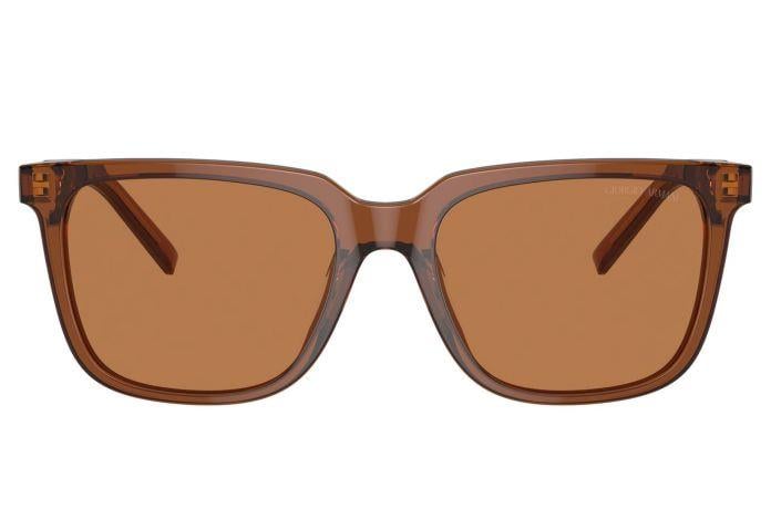 Giorgio Armani AR 8202 6049/73 Kahverengi Kemik Çereveli Kahveregi Camlı Kadın,Erkek,Unisex  Güneş Gözlüğü