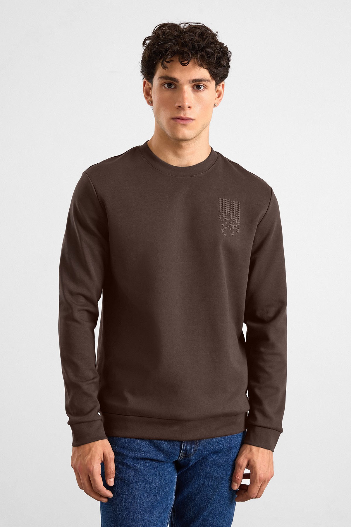 Süvari Koyu Kahve Regular Düz Baskılı İnterlok Bisiklet Yaka Cepsiz Düz Sweatshirt