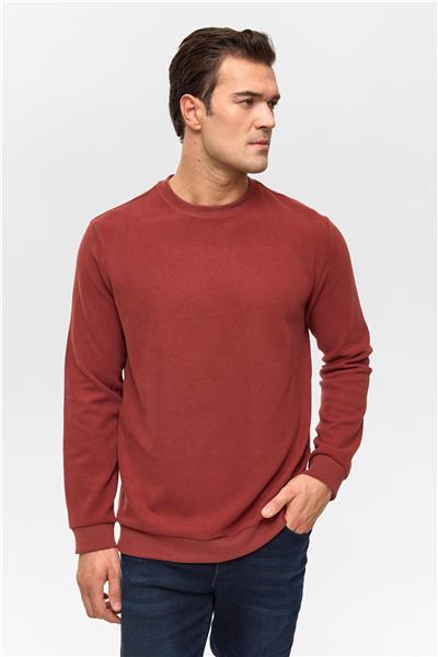 Açık Kahve Regular Düz Bisiklet Yaka Sweatshirt