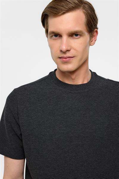 Antrasit Regular Armürlü Bisiklet Yaka Tişört