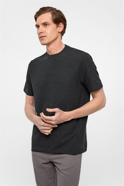 Antrasit Regular Armürlü Bisiklet Yaka Tişört
