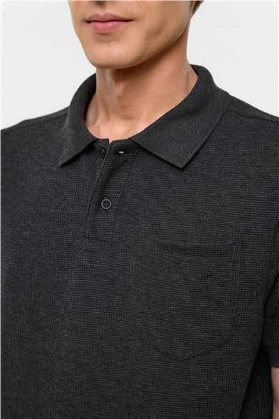 Antrasit Regular Armürlü Polo Yaka Tişört