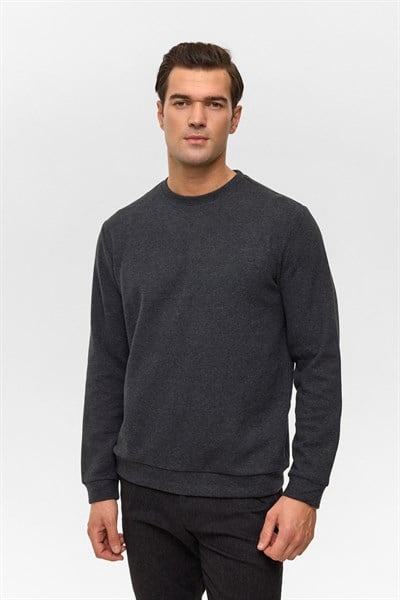 Antrasit Regular Düz Bisiklet Yaka Sweatshirt