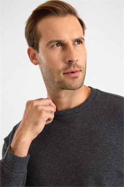Antrasit Regular Düz Bisiklet Yaka Sweatshirt