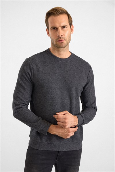 Antrasit Regular Düz Bisiklet Yaka Sweatshirt