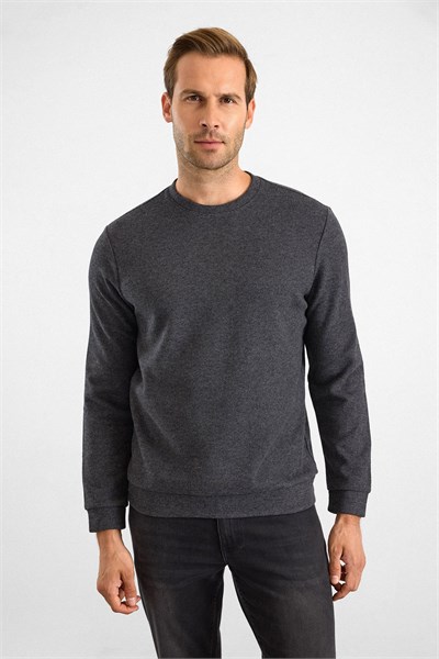Antrasit Regular Düz Bisiklet Yaka Sweatshirt