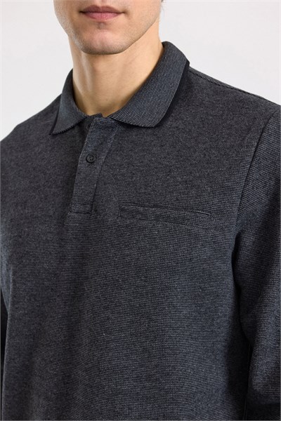 Antrasit Regular Düz Fermuarlı Polo Yaka Sweatshirt