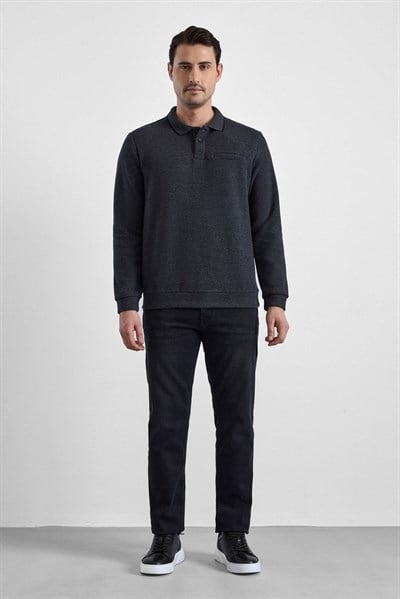 Antrasit Regular Düz Polo Yaka Sweatshirt