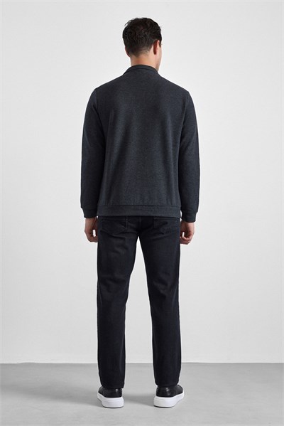 Antrasit Regular Düz Polo Yaka Sweatshirt