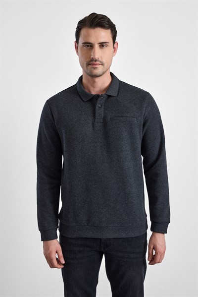 Antrasit Regular Düz Polo Yaka Sweatshirt