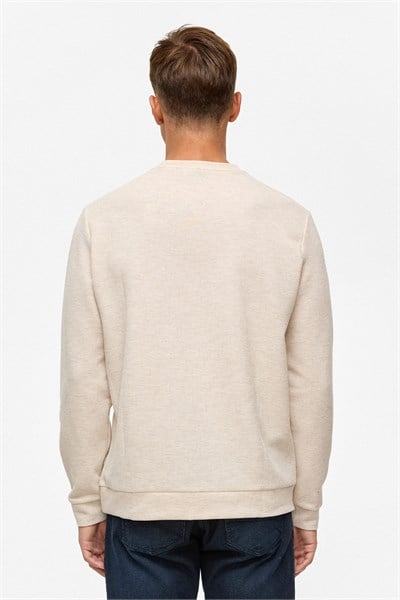 Bej Regular Düz Bisiklet Yaka Sweatshirt