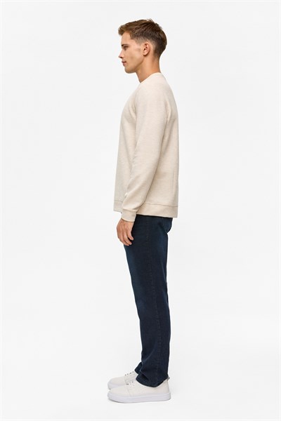 Bej Regular Düz Bisiklet Yaka Sweatshirt