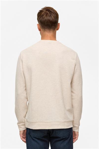 Bej Regular Düz Bisiklet Yaka Sweatshirt