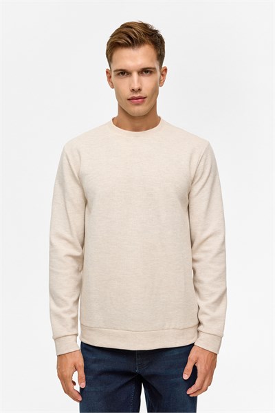 Bej Regular Düz Bisiklet Yaka Sweatshirt