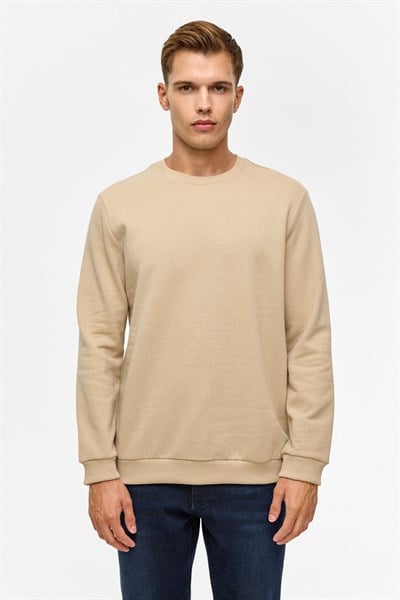 Bej Regular Düz Bisiklet Yaka Sweatshirt