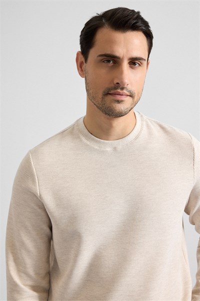 Bej Regular Düz Bisiklet Yaka Sweatshirt