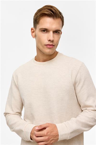 Bej Regular Düz Bisiklet Yaka Sweatshirt