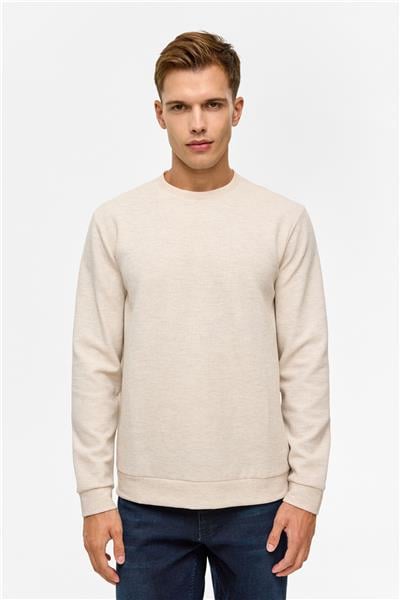 Bej Regular Düz Bisiklet Yaka Sweatshirt