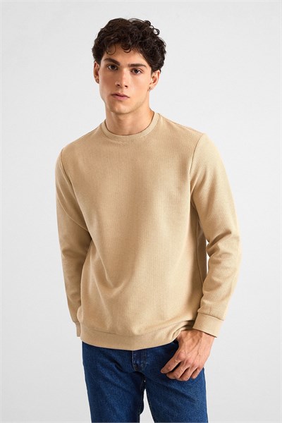 Bej Regular Düz Bisiklet Yaka Sweatshirt