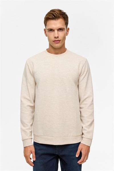 Bej Regular Düz Bisiklet Yaka Sweatshirt