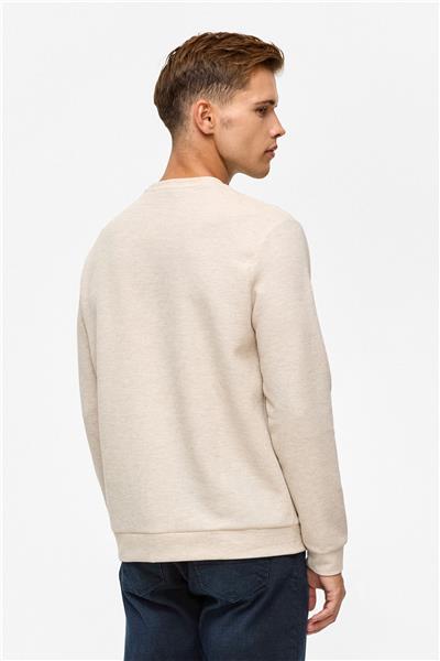 Bej Regular Düz Bisiklet Yaka Sweatshirt