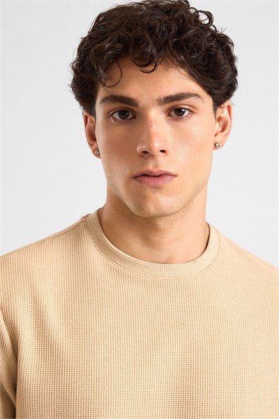 Bej Regular Düz Bisiklet Yaka Sweatshirt