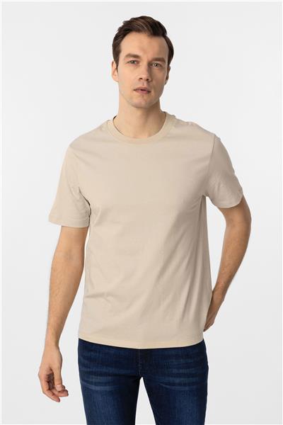 Bej Regular Düz Bisiklet Yaka Tişört