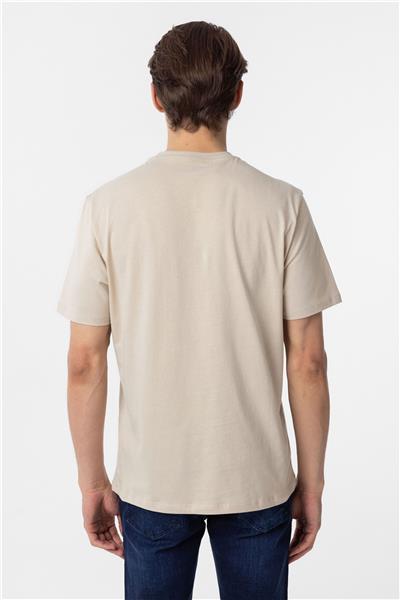 Bej Regular Düz Bisiklet Yaka Tişört