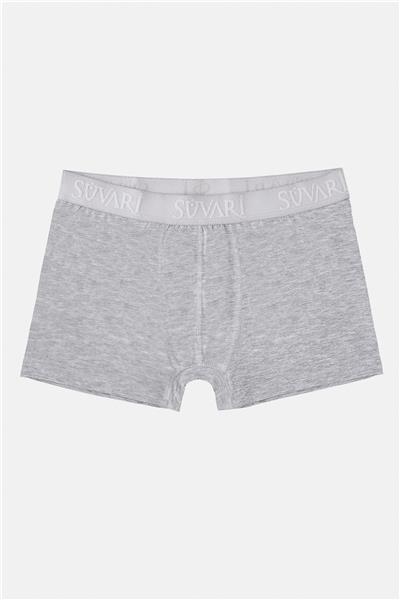 Gri Regular Düz Boxer